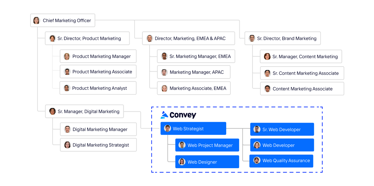 A graphic showing an organization chart for a larger B2B marketing team, and how Convey Digital's team can be a fractional website team within this organization chart.